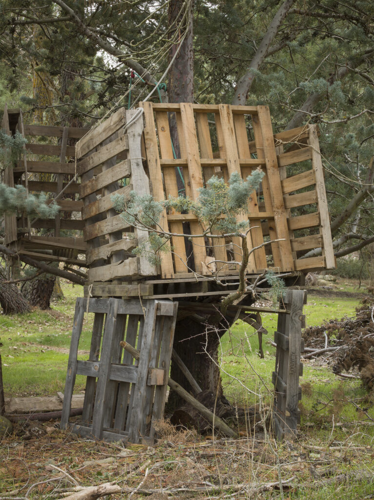 construction with wooden pallets under a tree