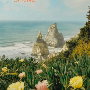 THE SPRING BOOK