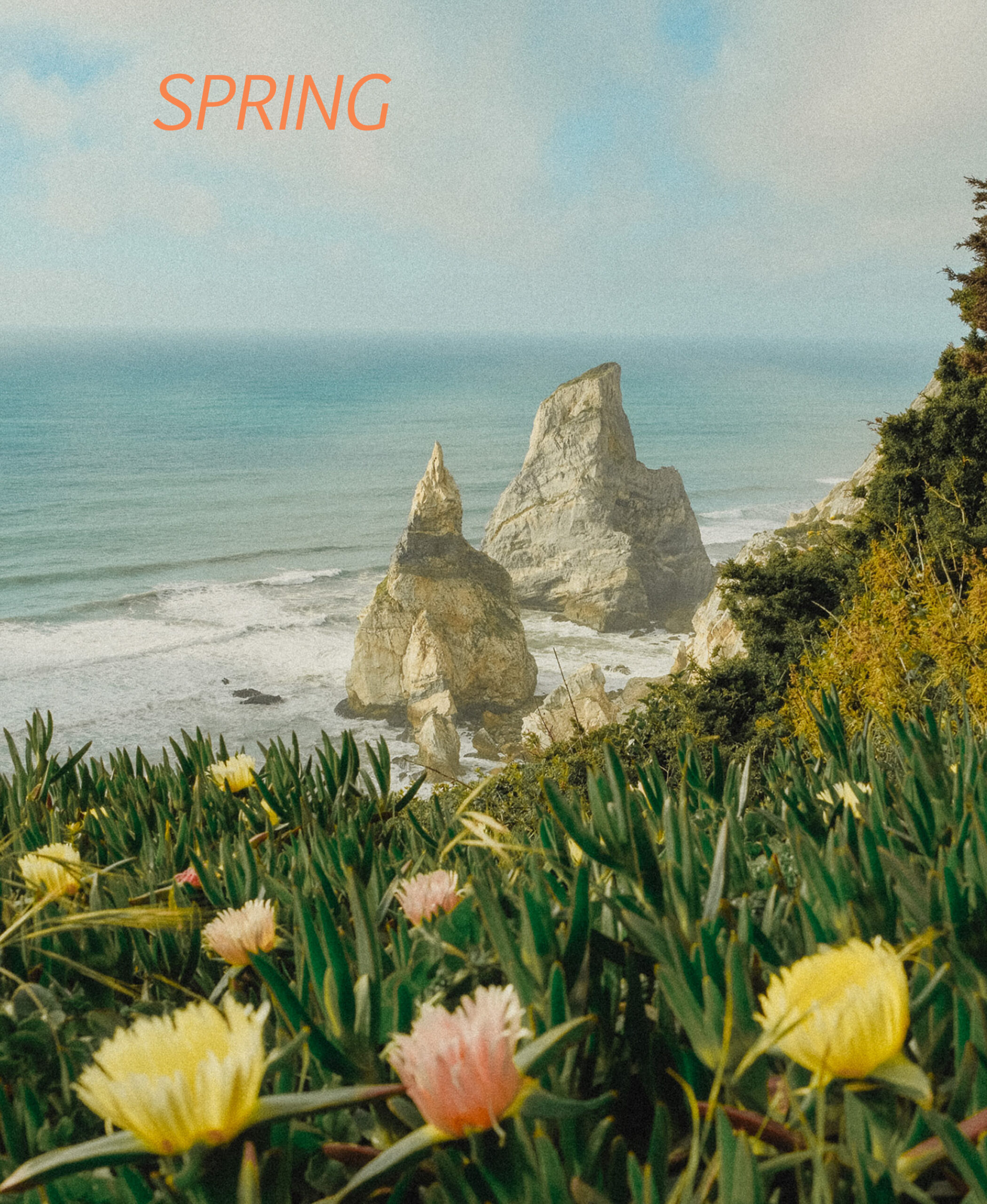 THE SPRING BOOK PRE-SALE